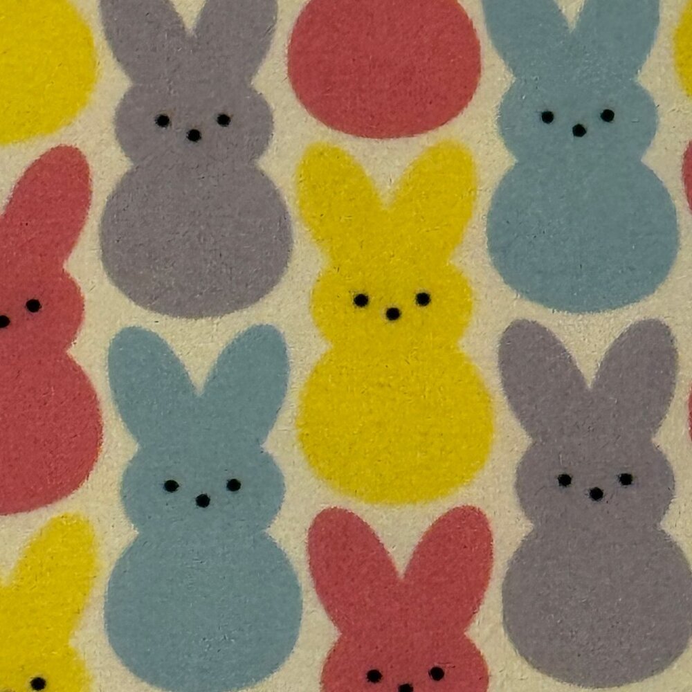 NWOT Jordann Jammies Bunny Print Pajama Set L | Super Soft Lounge Sleepwear - Picture 4 of 14